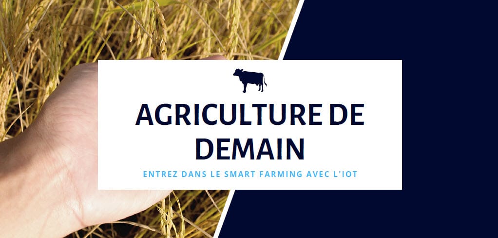 Agriculture de demain