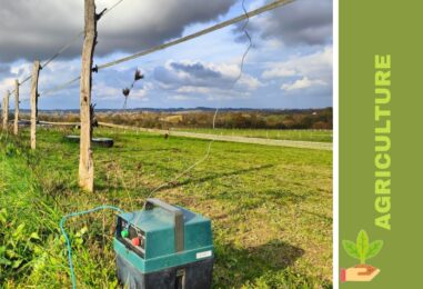 Électrificateur Autonome et IoT : La nouvelle génération de clôtures électriques pour protéger ses animaux et ses cultures.